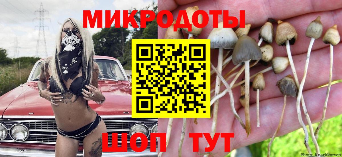 Галлюциногенные грибы мицелий Курчалой